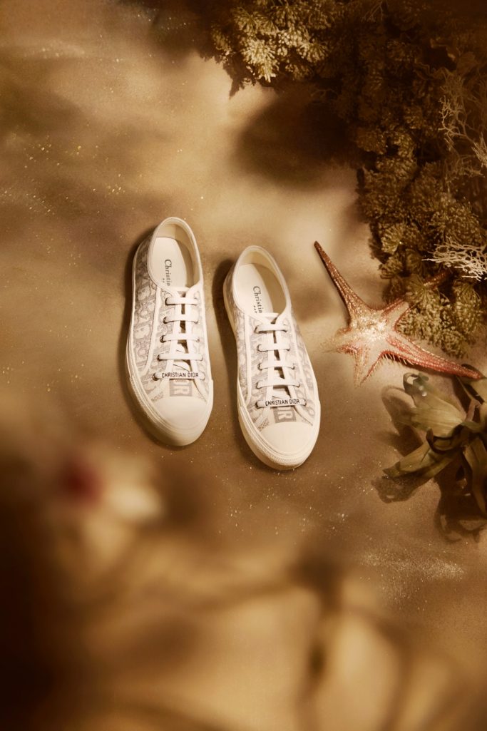 Dior Ballet shoes enhanced with cannage graphics.